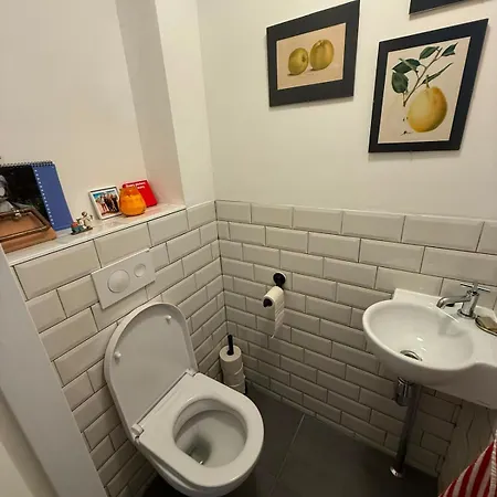 Cozy Ground Floor Flat In Oud Zuid *